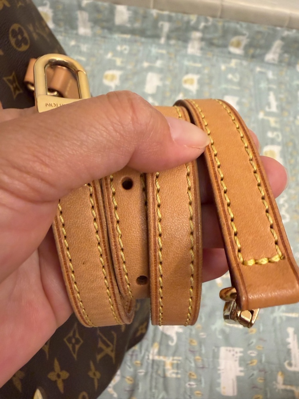 Louis Vuitton Palermo Pm (PRICE FIRM) - Picture 8 of 16